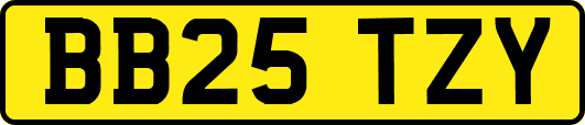 BB25TZY
