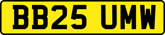 BB25UMW
