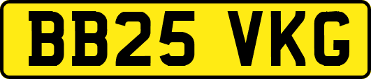 BB25VKG