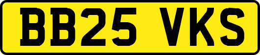 BB25VKS