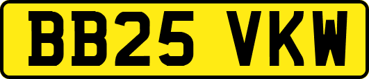 BB25VKW