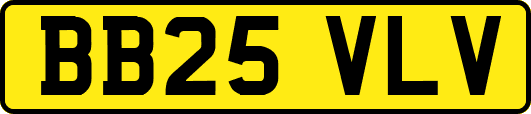 BB25VLV