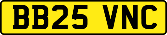 BB25VNC