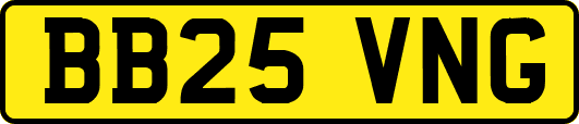 BB25VNG