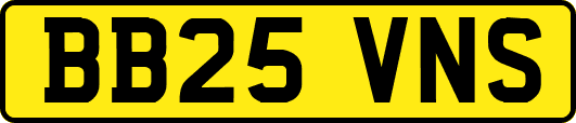 BB25VNS