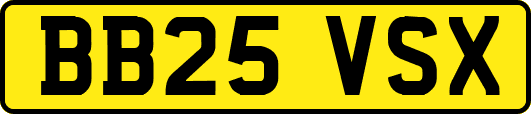 BB25VSX