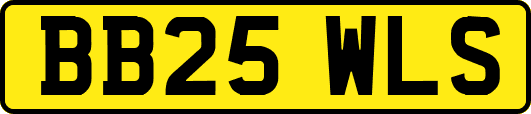 BB25WLS