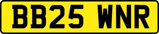 BB25WNR