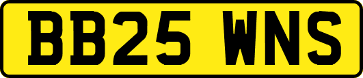 BB25WNS