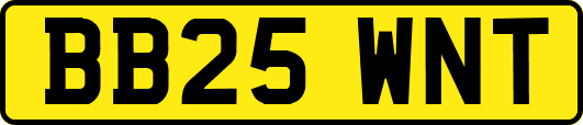 BB25WNT