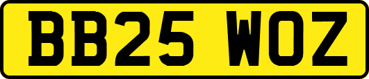 BB25WOZ