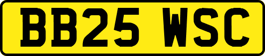 BB25WSC