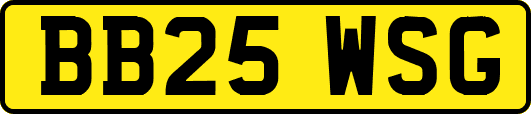 BB25WSG