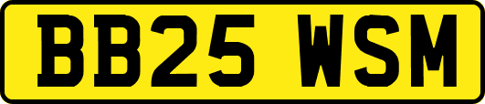 BB25WSM