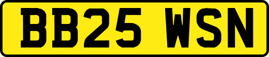 BB25WSN