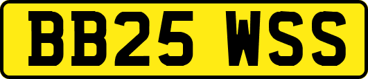 BB25WSS