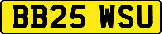 BB25WSU
