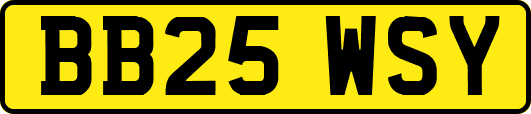 BB25WSY
