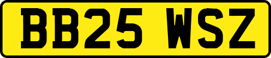 BB25WSZ