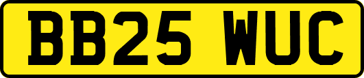 BB25WUC