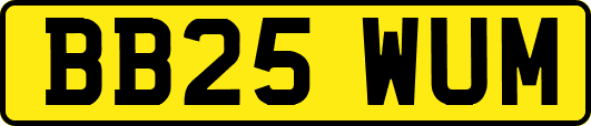 BB25WUM