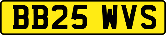 BB25WVS