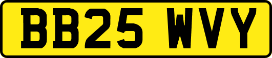 BB25WVY