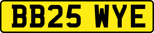 BB25WYE