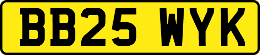 BB25WYK