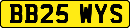 BB25WYS