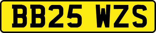 BB25WZS