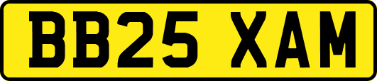 BB25XAM