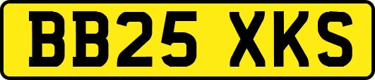 BB25XKS