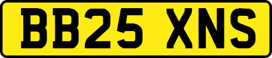 BB25XNS