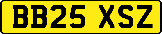 BB25XSZ