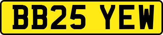 BB25YEW