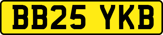 BB25YKB