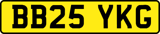 BB25YKG