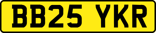 BB25YKR
