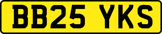 BB25YKS