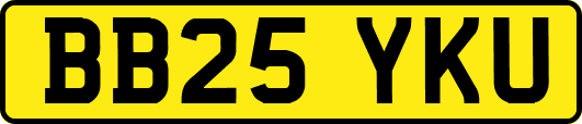 BB25YKU