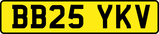 BB25YKV