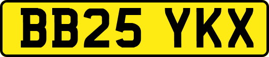 BB25YKX