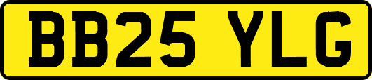 BB25YLG