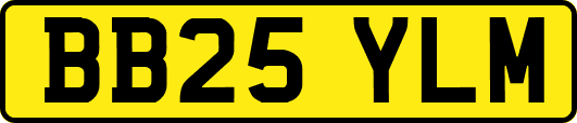 BB25YLM