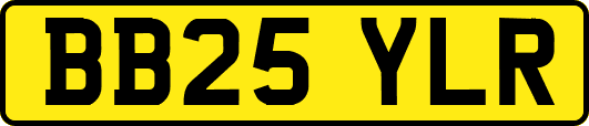 BB25YLR