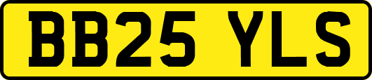 BB25YLS
