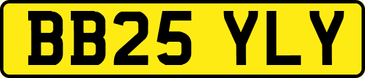 BB25YLY