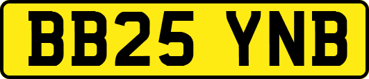 BB25YNB
