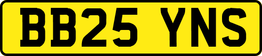 BB25YNS